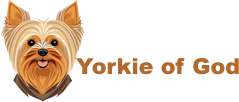 Yorkie of God